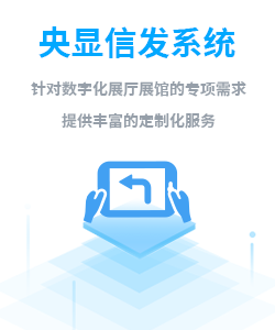 央显发布系统
